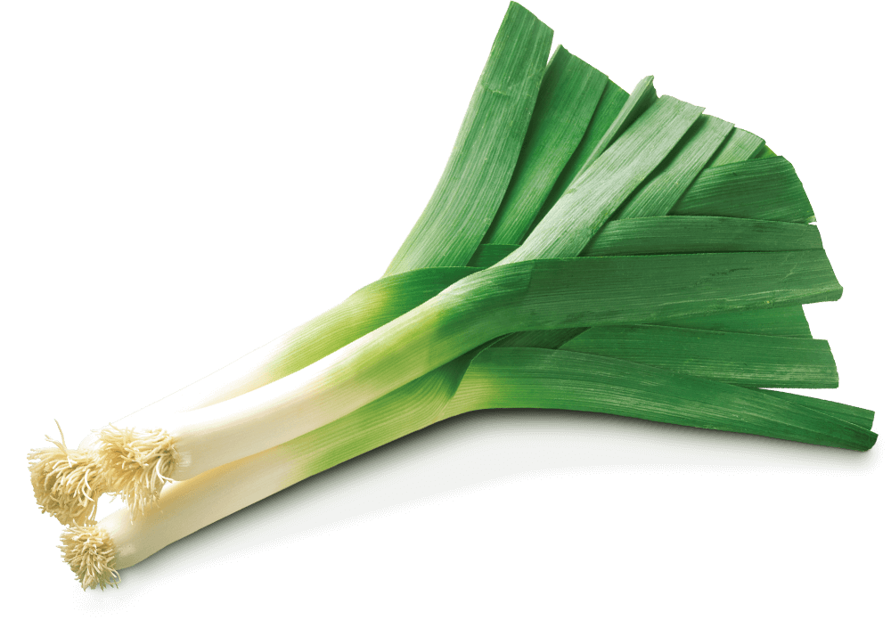 Fresh Leeks Isolatedon Background.png PNG