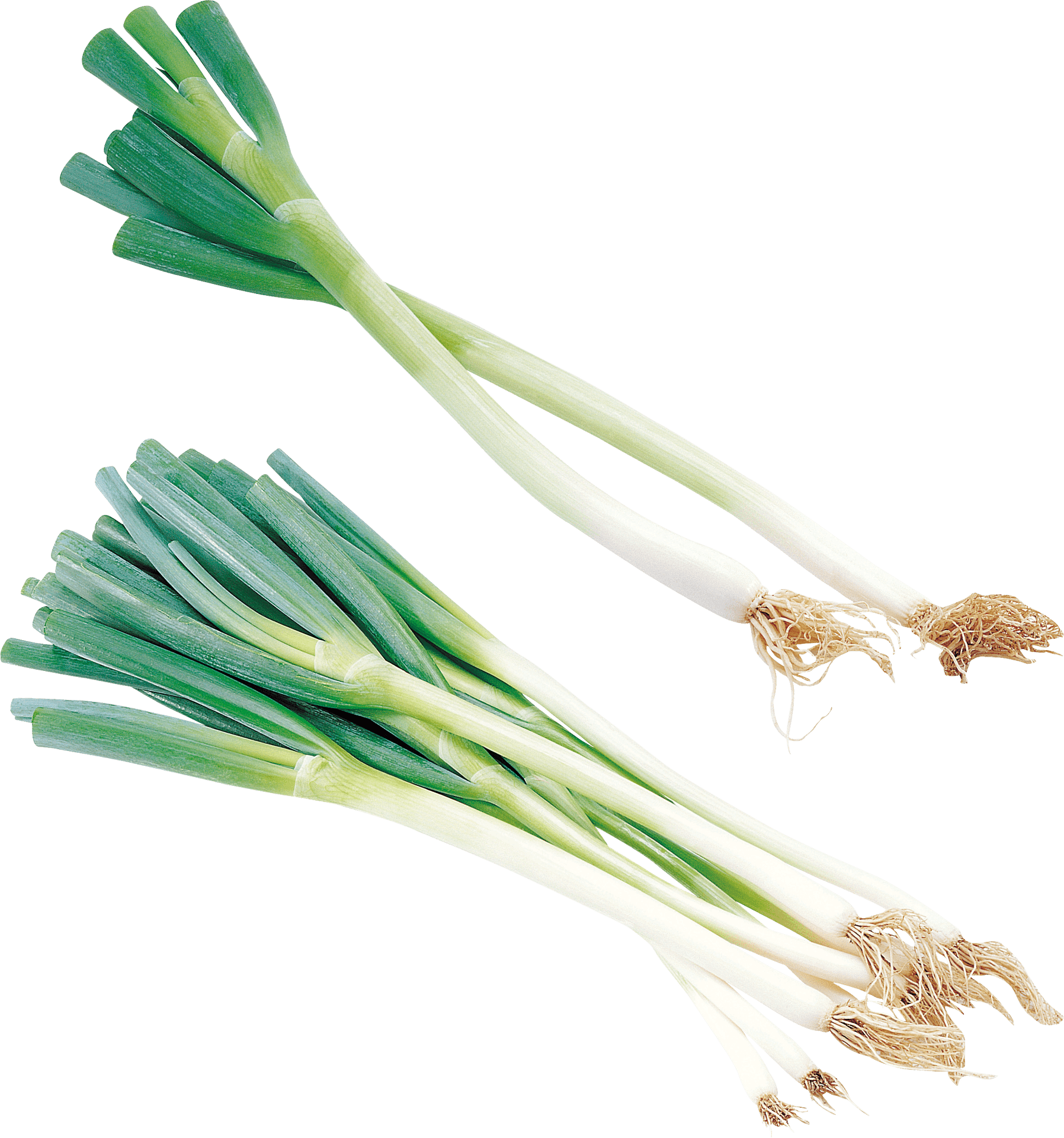 Fresh Leeks Isolatedon Grey Background PNG