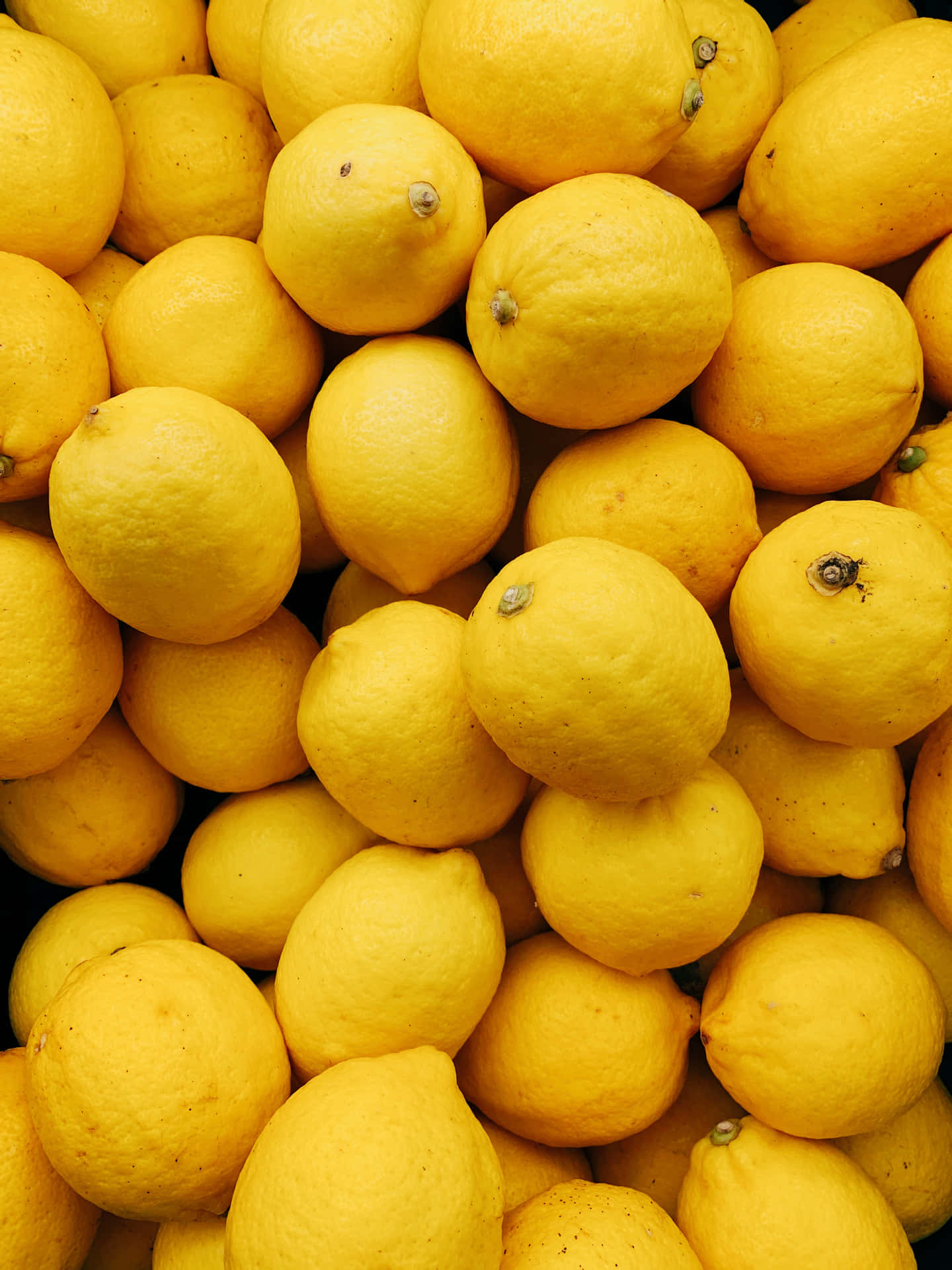 Fresh Lemon Wallpaper Background