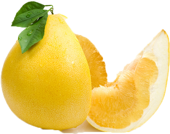 Fresh Lemonand Slice PNG