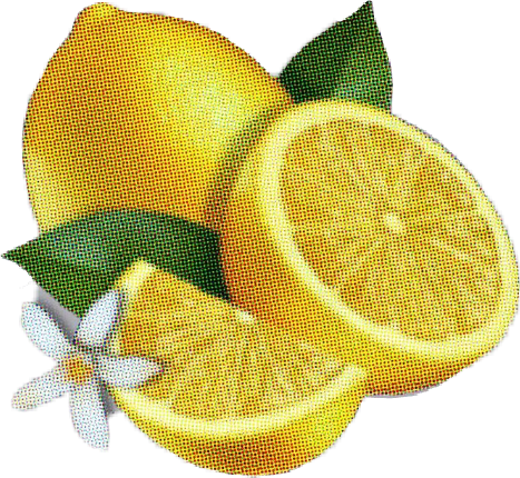 Fresh Lemonand Slice Illustration PNG
