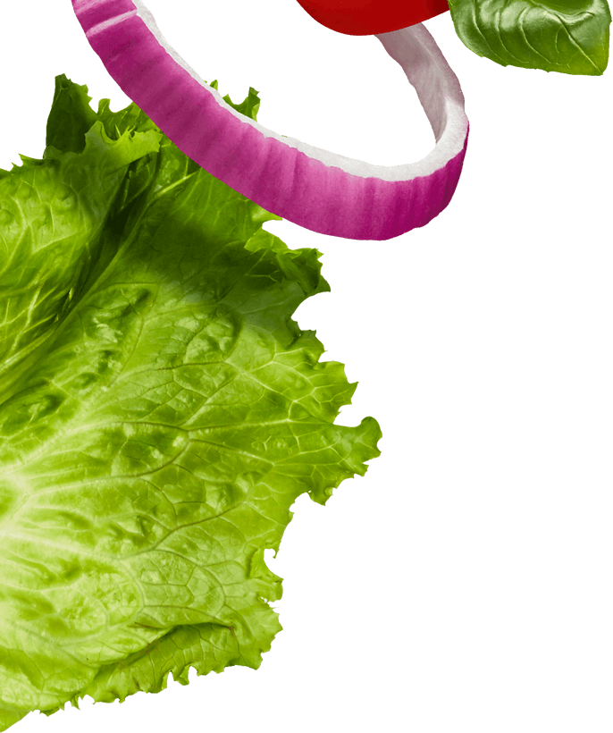 Fresh Lettuceand Vegetables Floating PNG