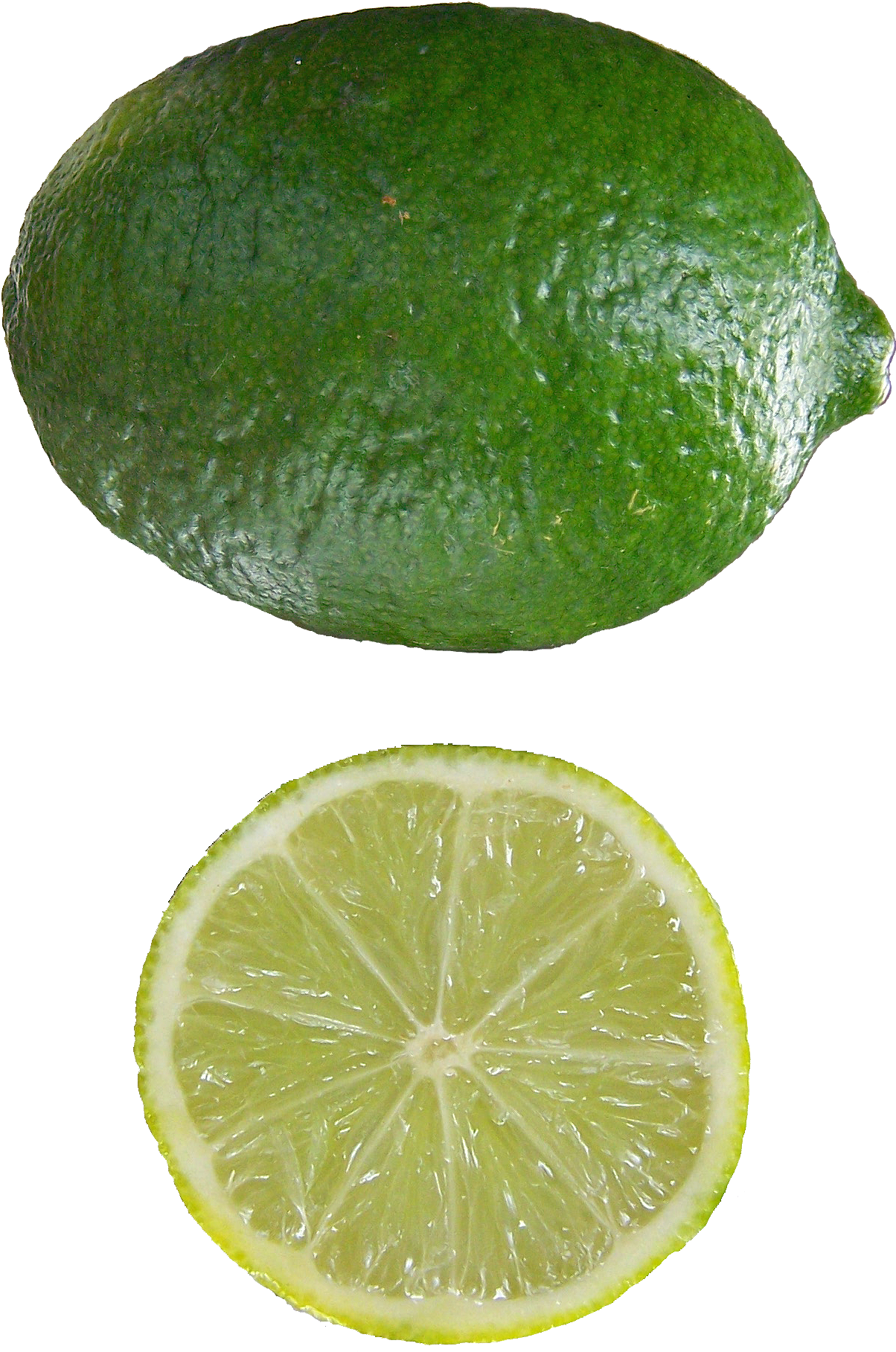 Fresh Limeand Slice PNG
