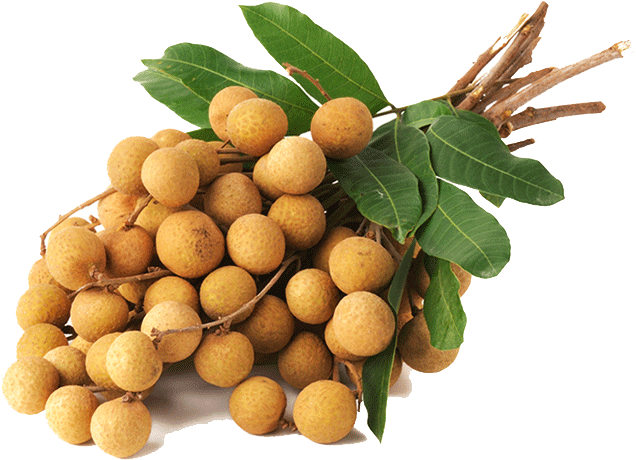 Fresh Longan Bunch PNG