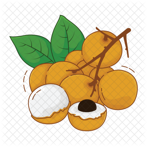 Fresh Longan Fruit Illustration PNG