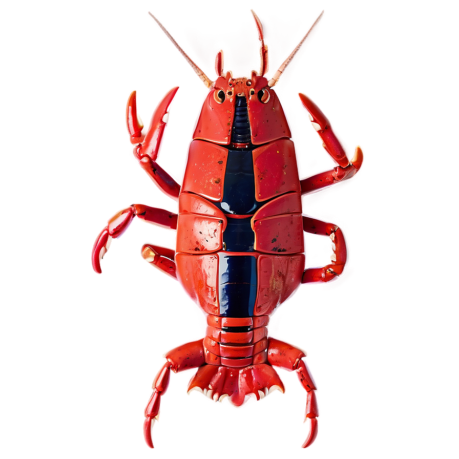 Fresh Maine Lobster Feast Png 06202024 PNG