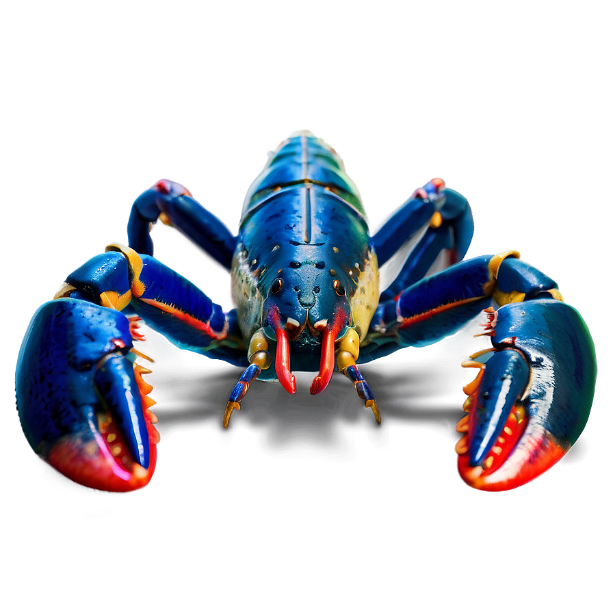 Fresh Maine Lobster Feast Png Poy47 PNG