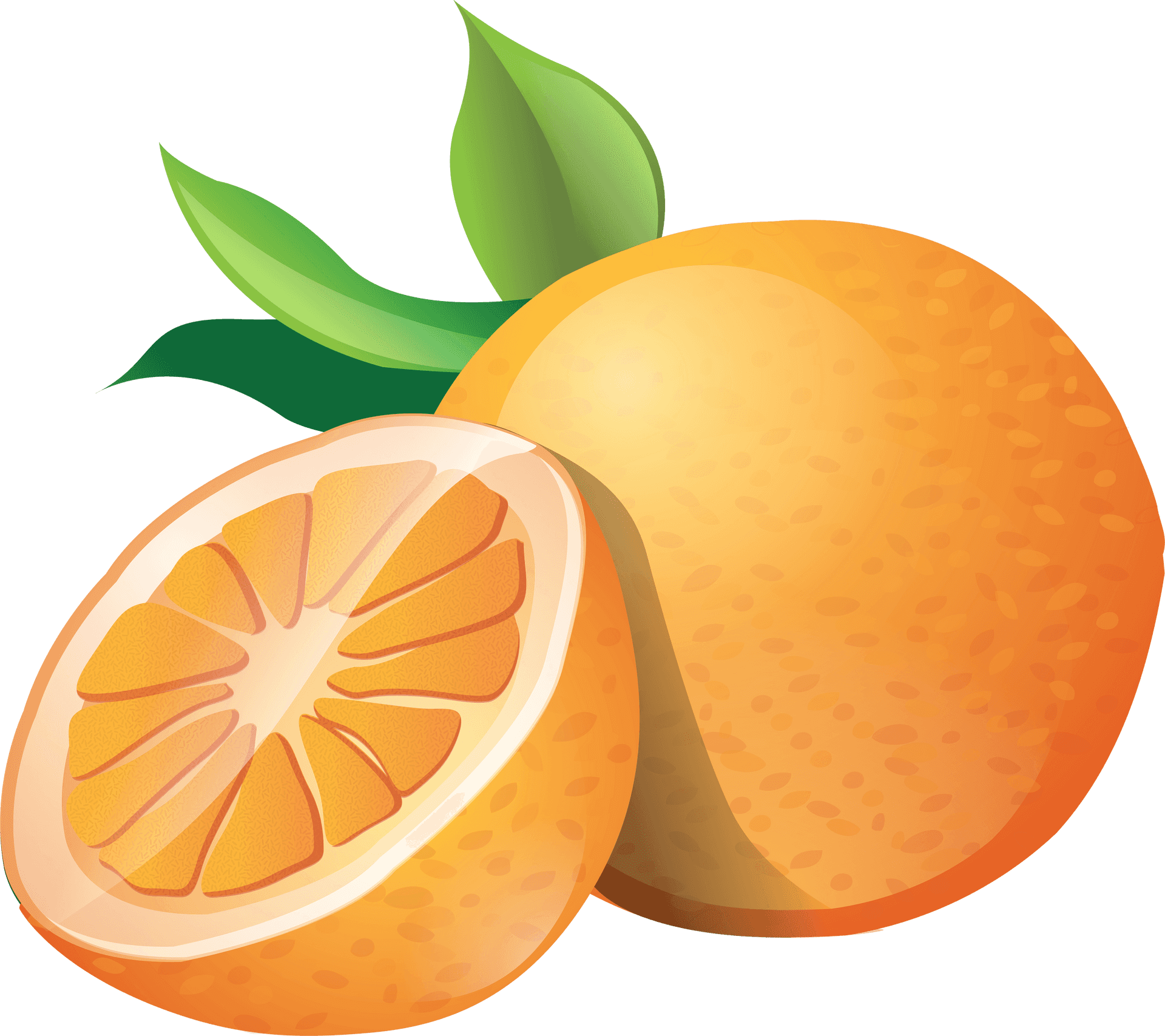Fresh Mandarin Orange Illustration PNG