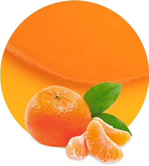 Fresh Mandarin Orange Slices PNG