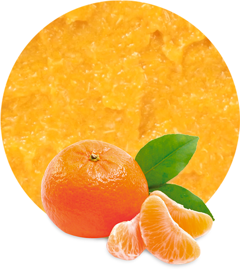 Fresh Mandarin Orange Slices PNG