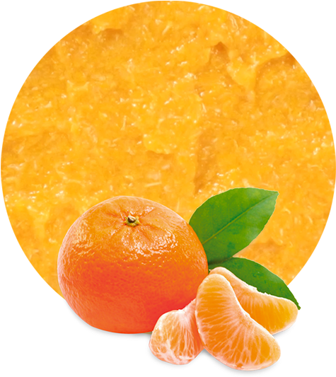 Fresh Mandarin Orangeand Segments PNG