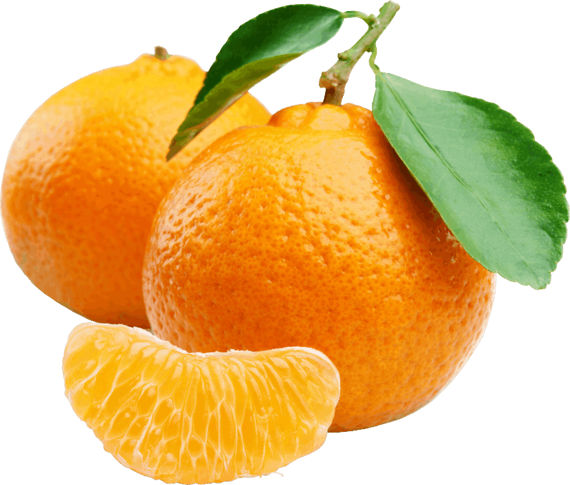 Fresh Mandarin Oranges With Leaves PNG