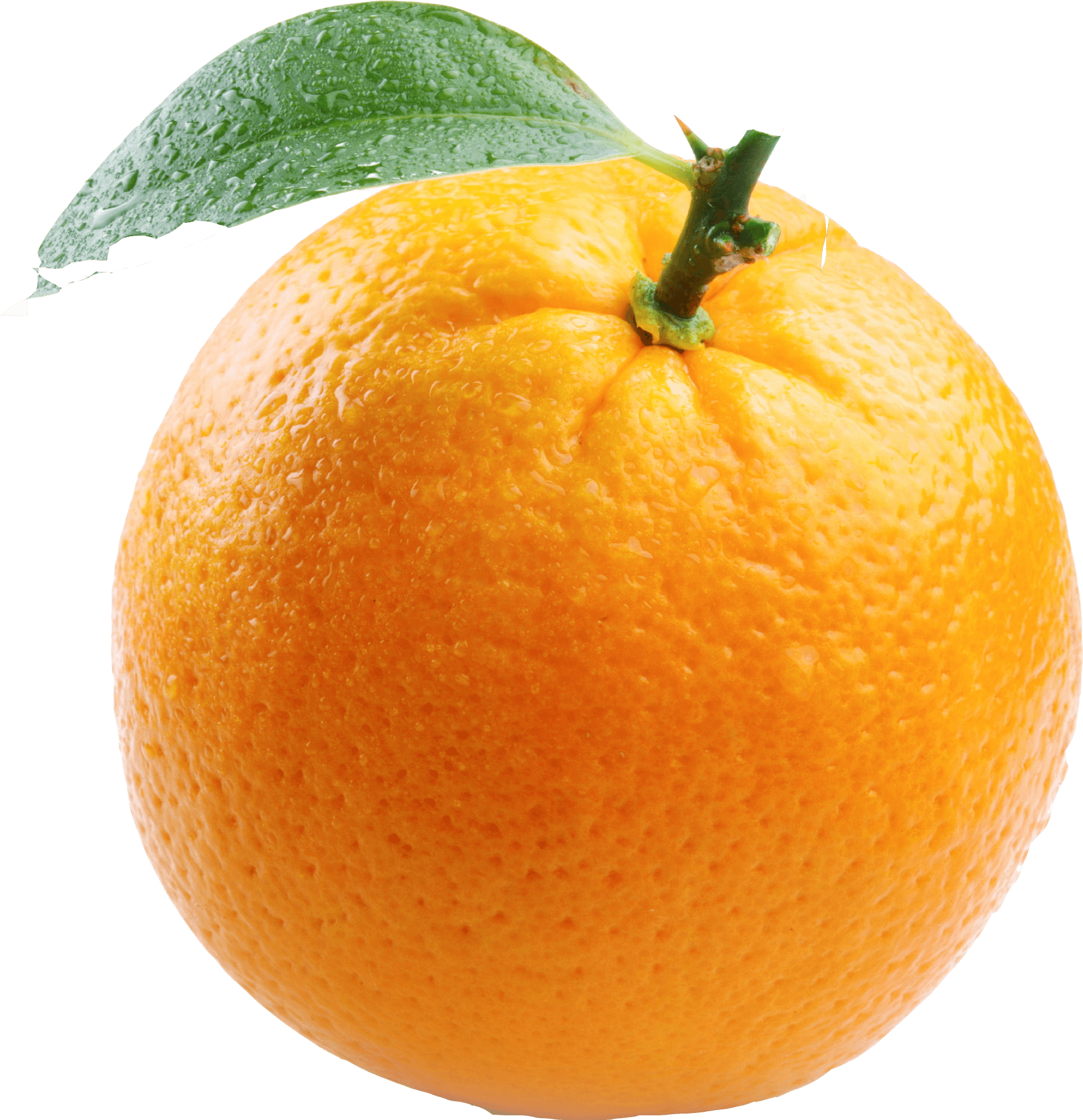 Fresh Mandarin Orangewith Leaf.png PNG