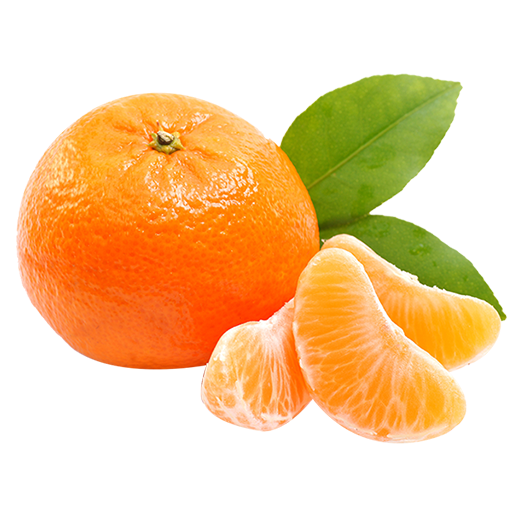 Fresh Mandarin Orangewith Segments.png PNG