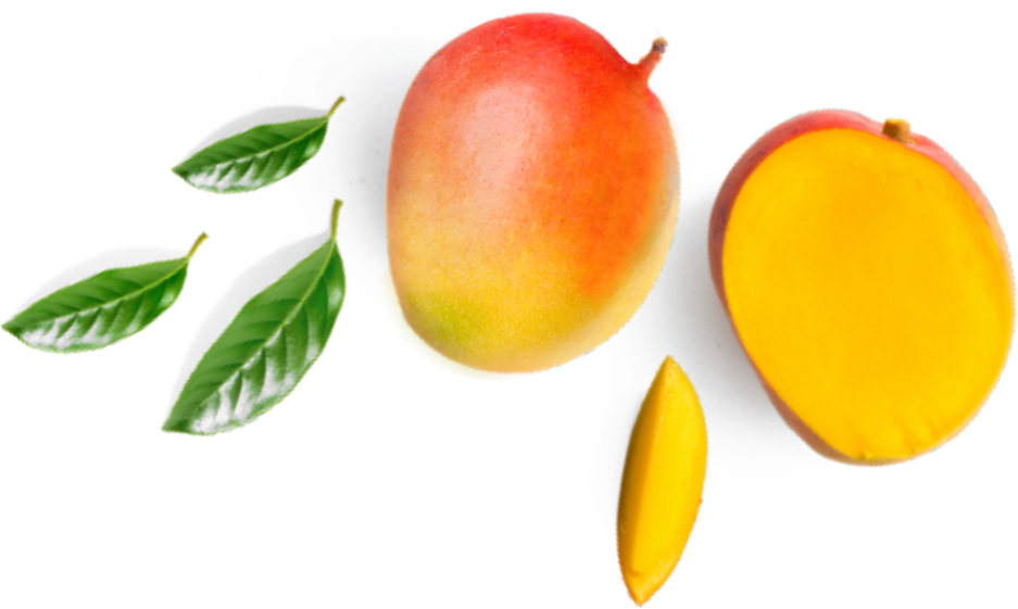 Fresh Mangoand Sliceswith Leaves.png PNG
