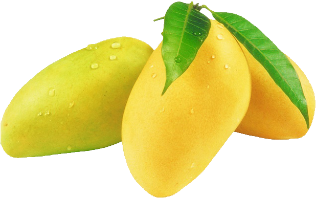 Fresh Mangoes With Dew Drops PNG