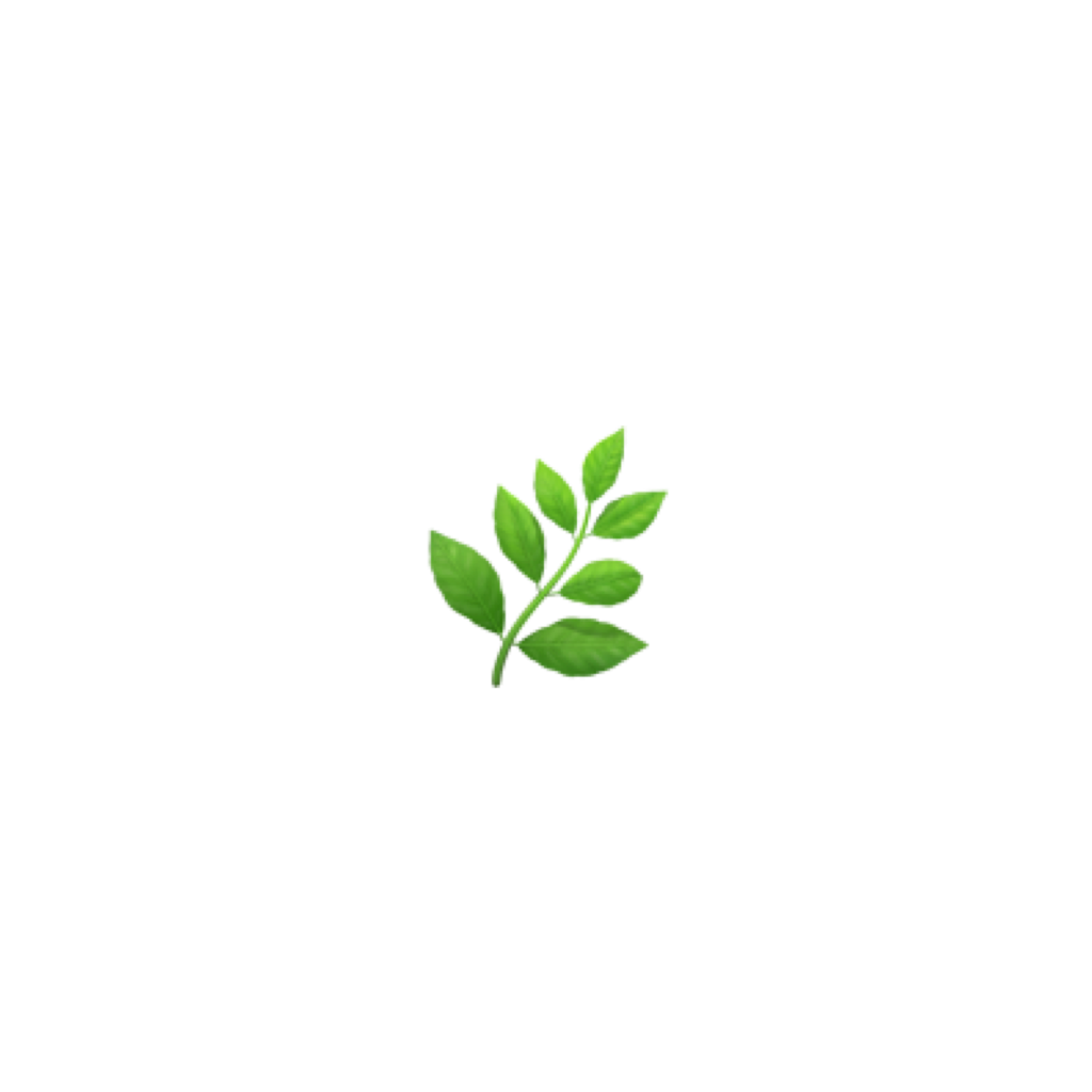 Fresh Mint Leaves Simple Background PNG