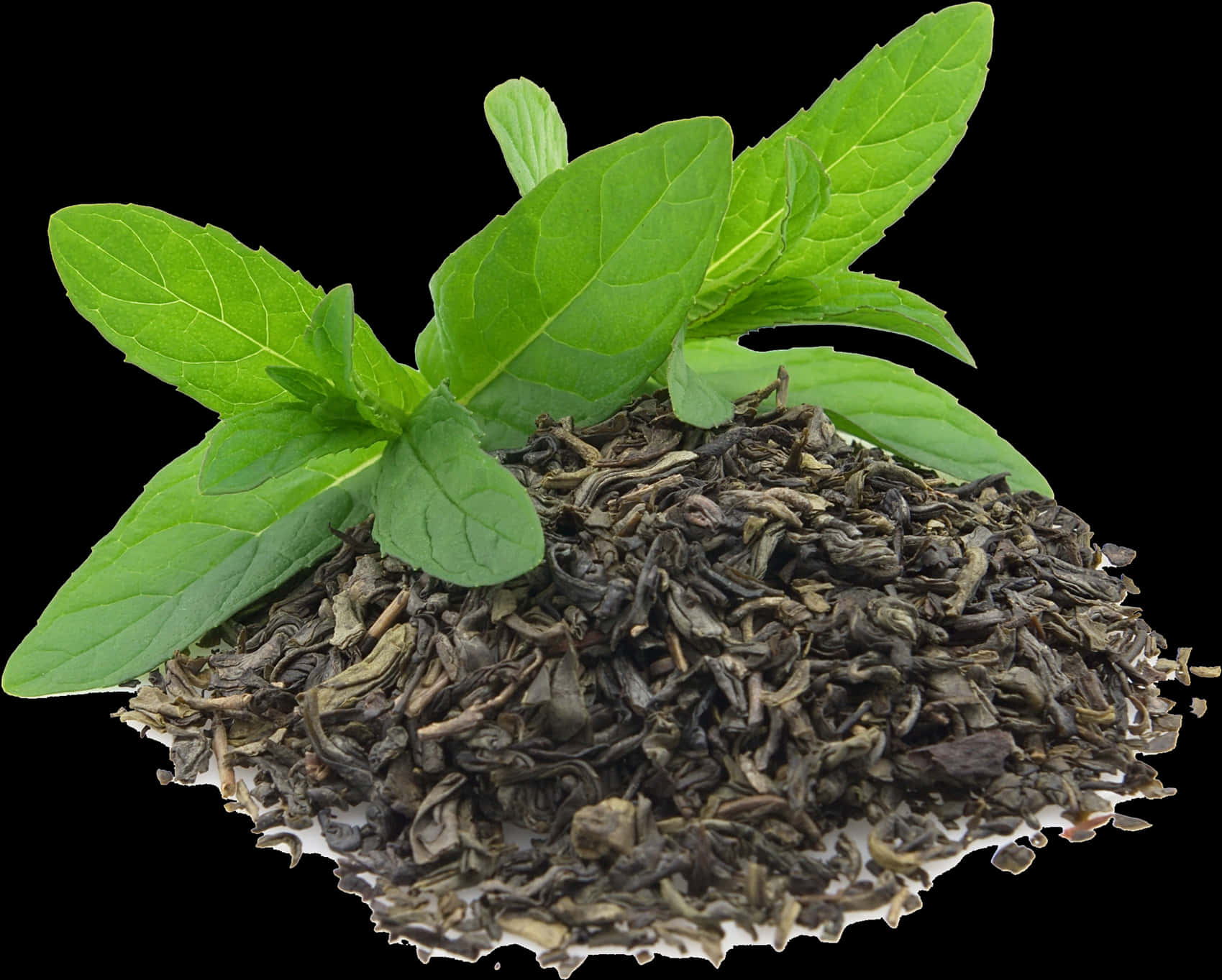 Fresh Mint Leaveson Dried Tea PNG