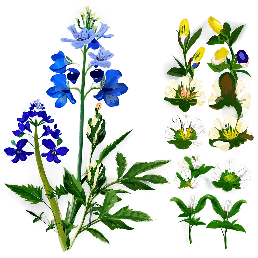 Fresh Morning Wildflowers Png 35 PNG