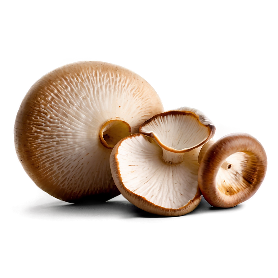 Fresh Mushrooms Png Ine78 PNG