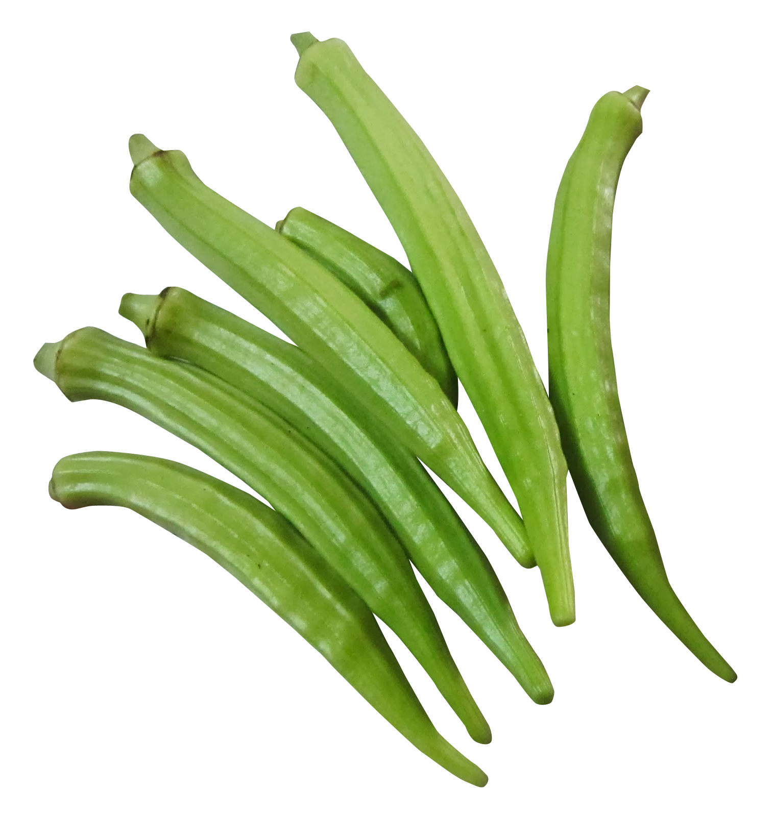 Fresh Okra Clusteron Blue Background PNG