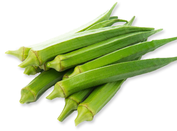Fresh Okra Pods Isolated PNG