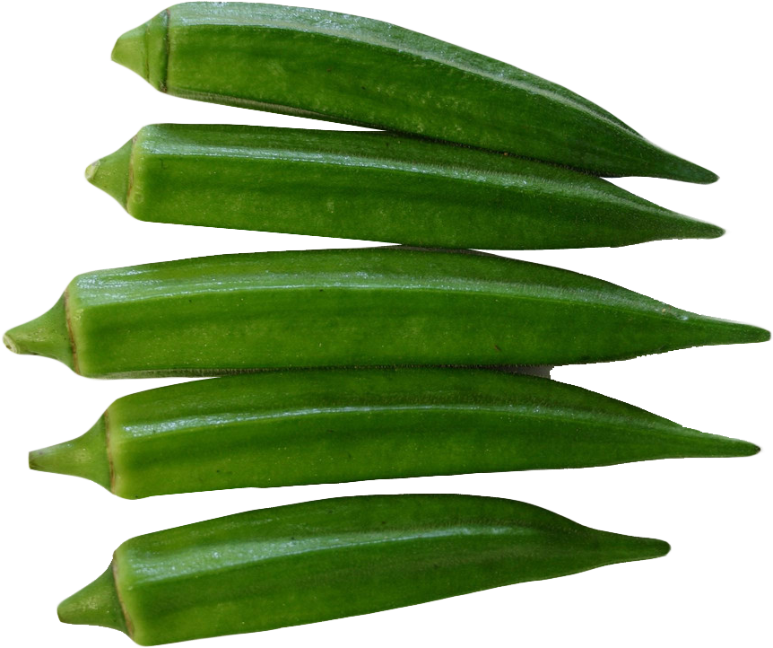 Fresh Okra Pods Transparent Background PNG