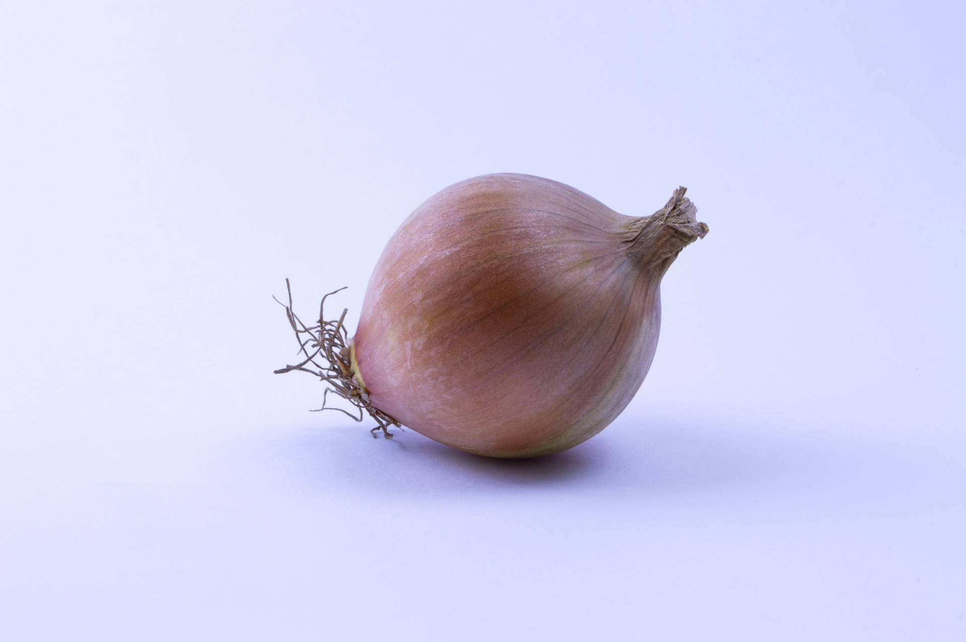Fresh Onion With Intact Skin And Roots Wallpaper