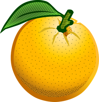 Fresh Orange Illustration PNG