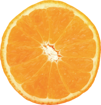 Fresh Orange Slice Black Background PNG