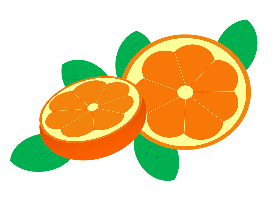 Fresh Orange Slices Illustration PNG