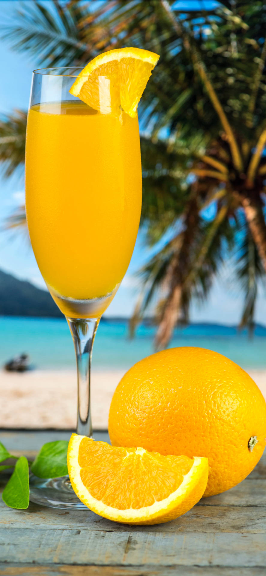 Fresh Orange Tropical Drink Wallpaper