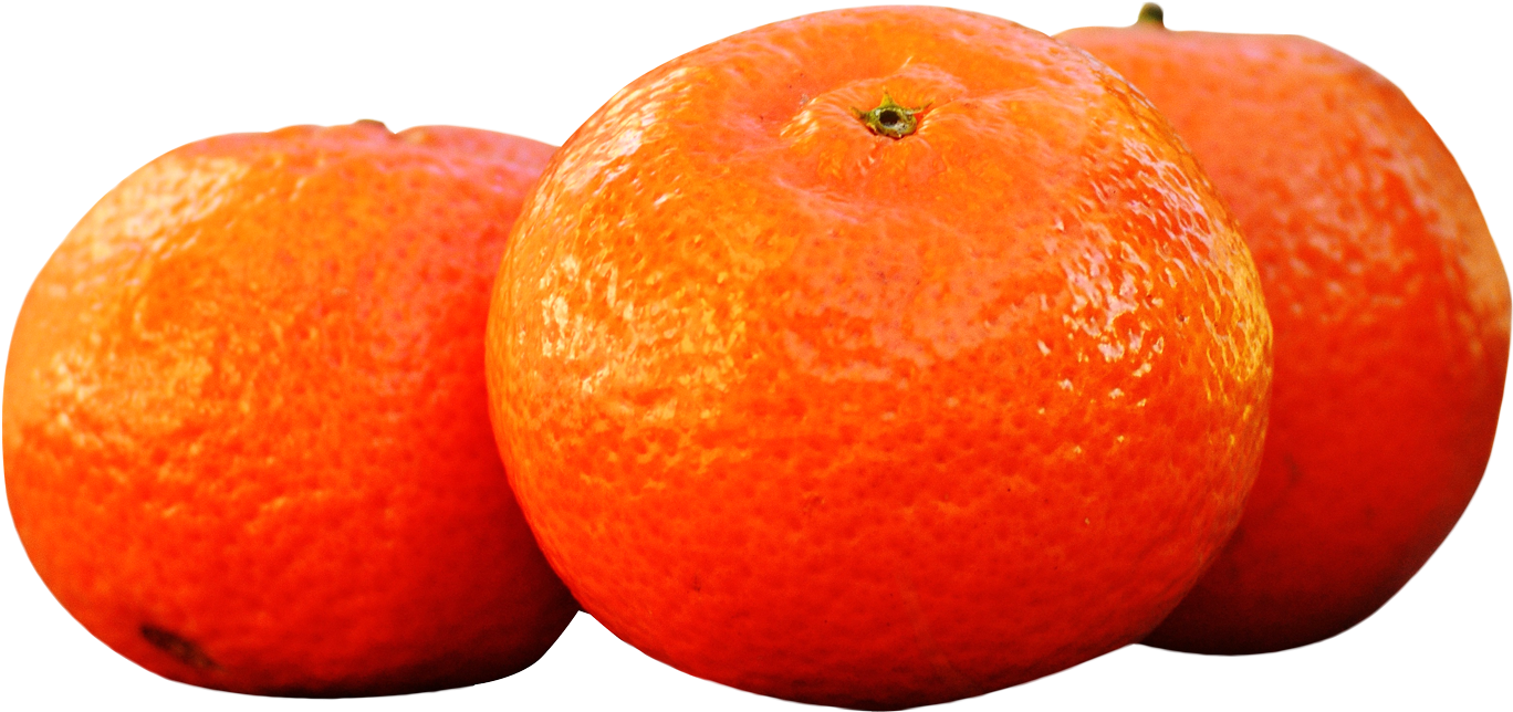 Fresh Oranges Isolated Background PNG