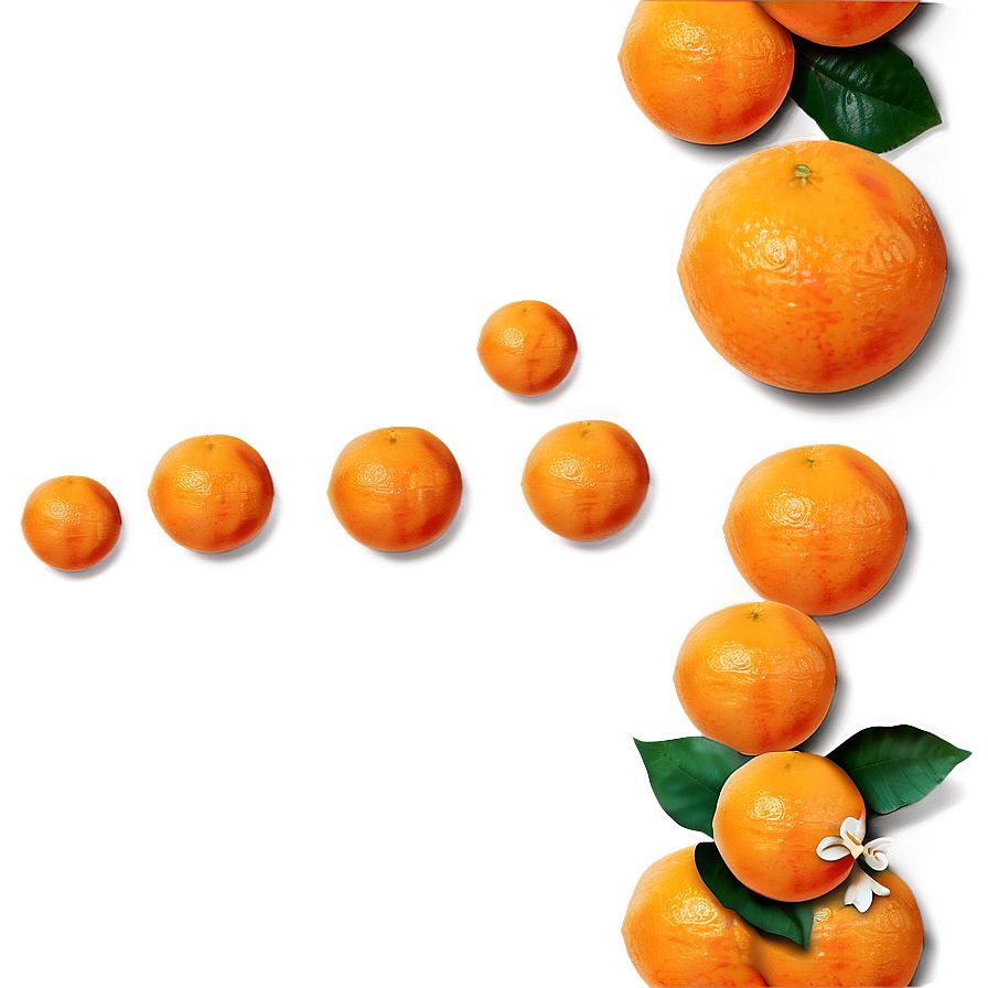 Download Fresh Oranges Png Syg96 | Wallpapers.com