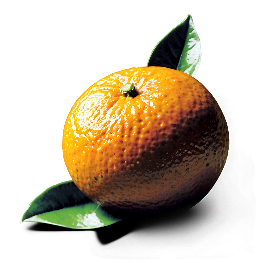 Download Fresh Oranges Png Xgt87 | Wallpapers.com