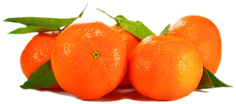 Fresh Orangeson Black Background PNG