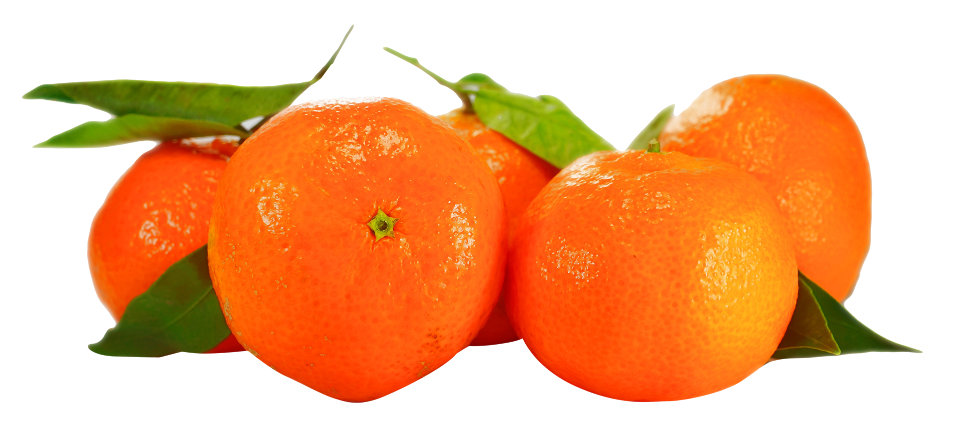 Fresh Orangeswith Leaves PNG