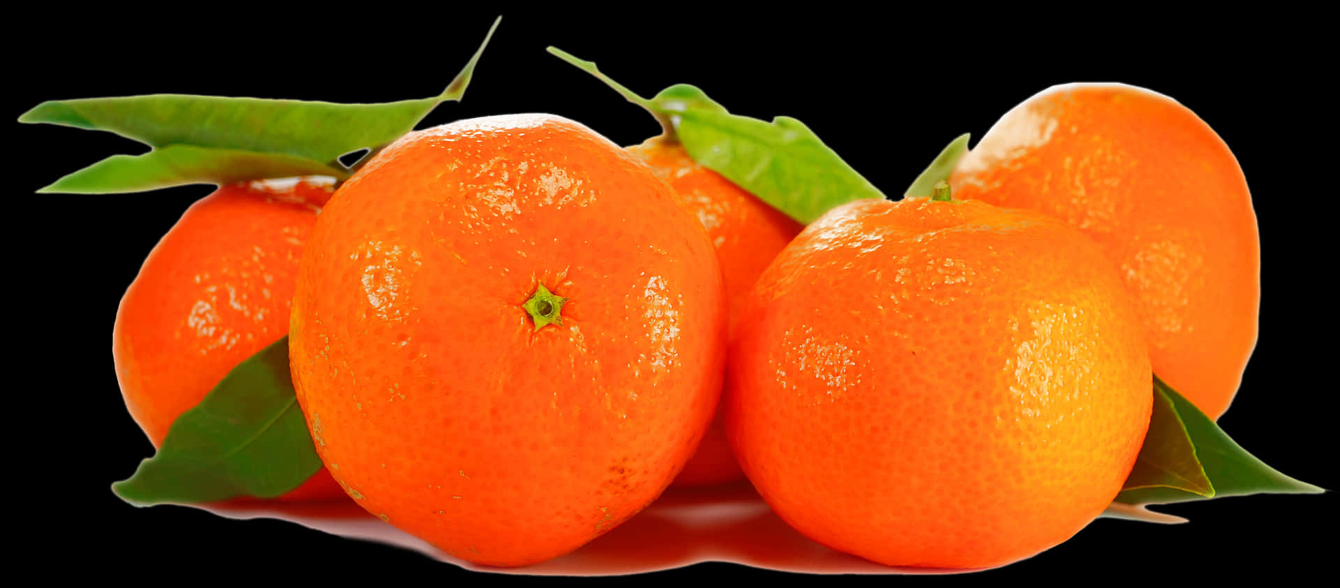 Fresh Orangeswith Leaveson Black Background PNG