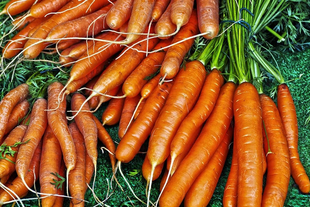 Fresh Organic Carrot Root Vegetables On The Grass Wallpaper