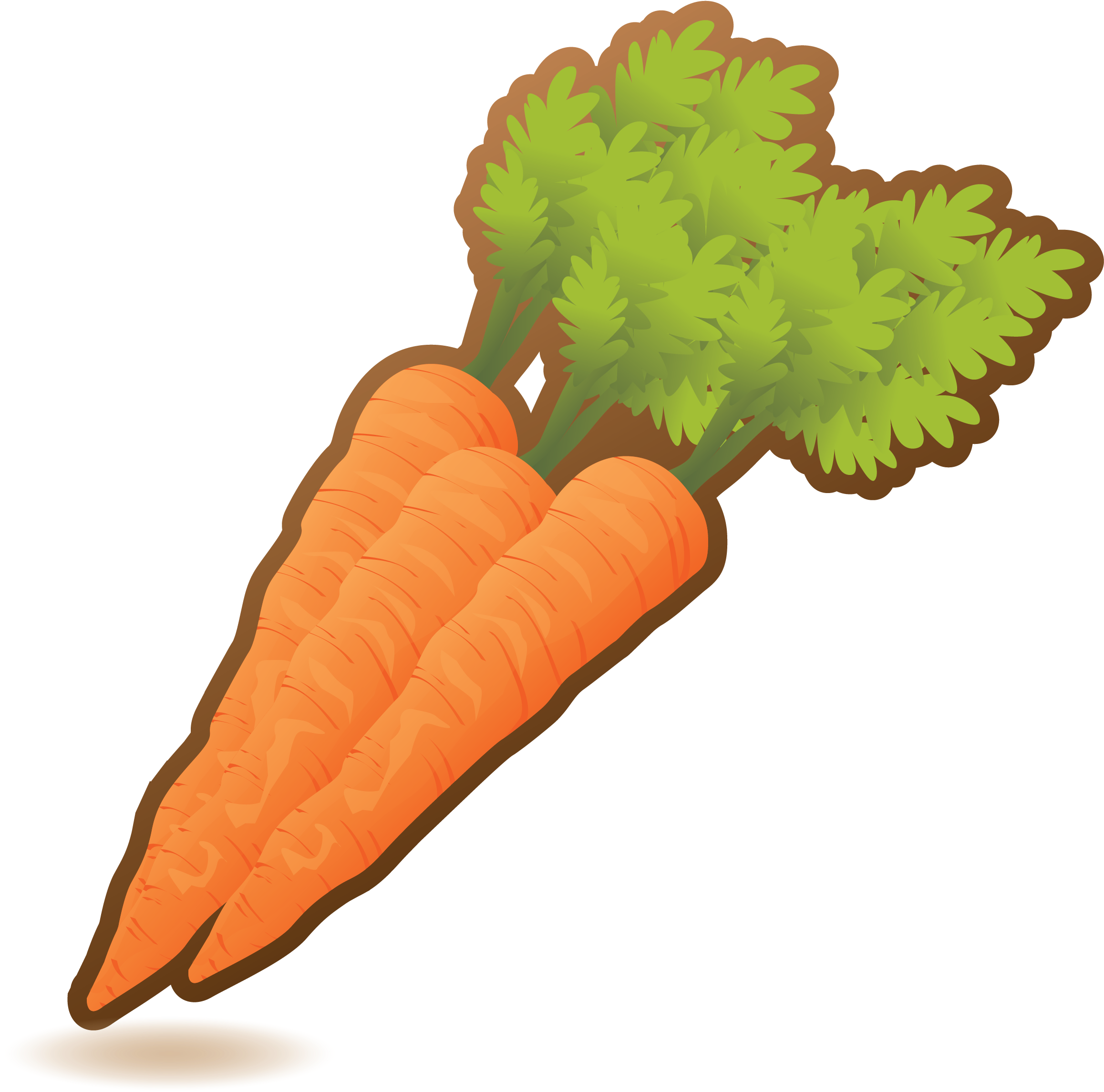 Fresh Organic Carrots Illustration PNG