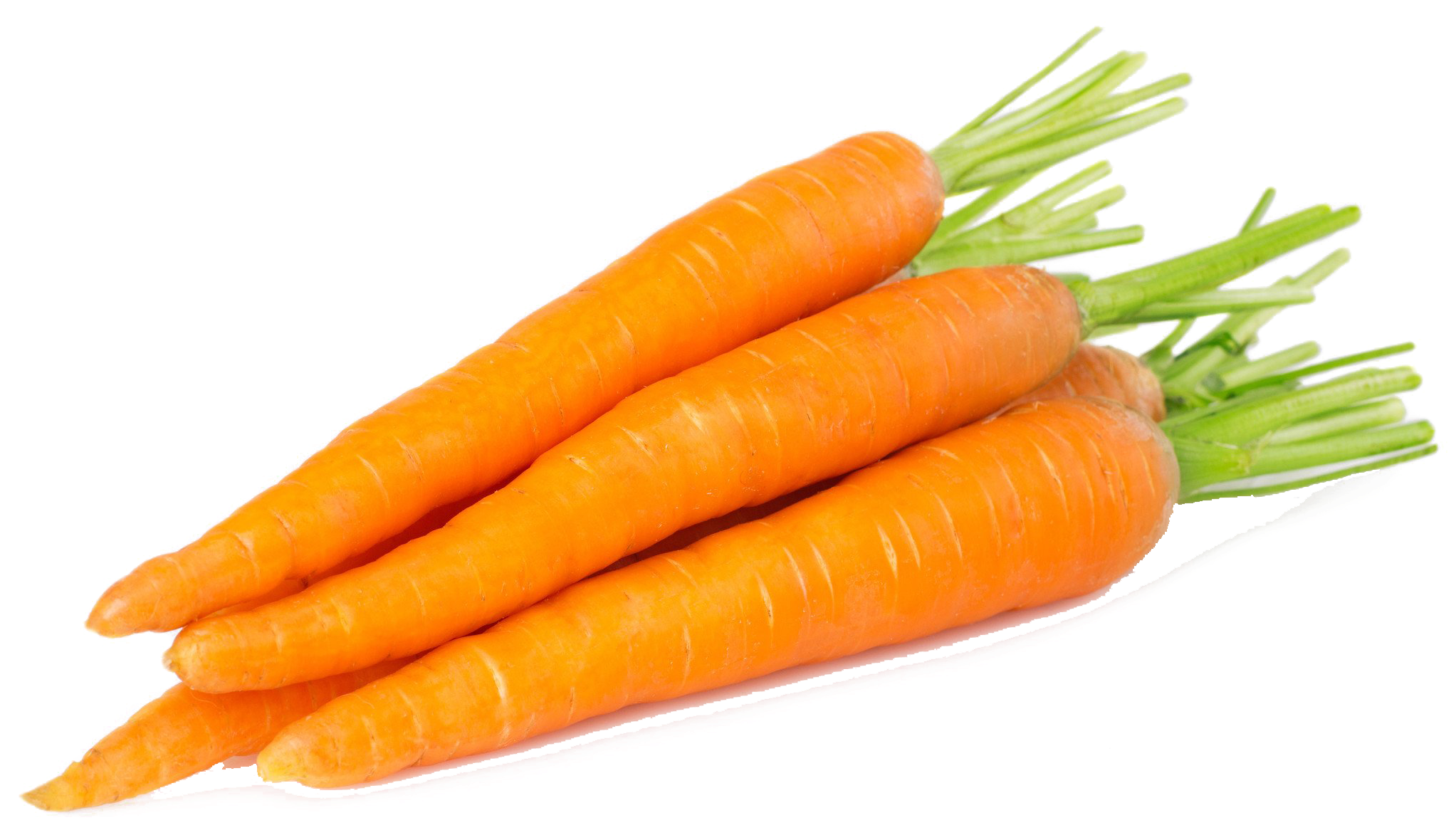 Fresh Organic Carrots Isolated PNG