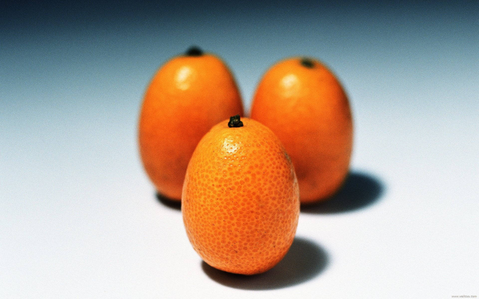 Frisk økologisk kumquat frugter stillbillede tapet. Wallpaper