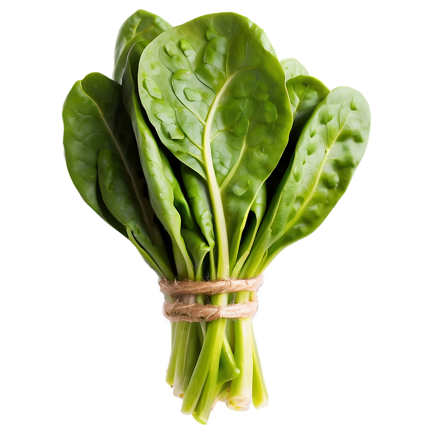 Fresh Organic Spinach Bunch Png Dau PNG