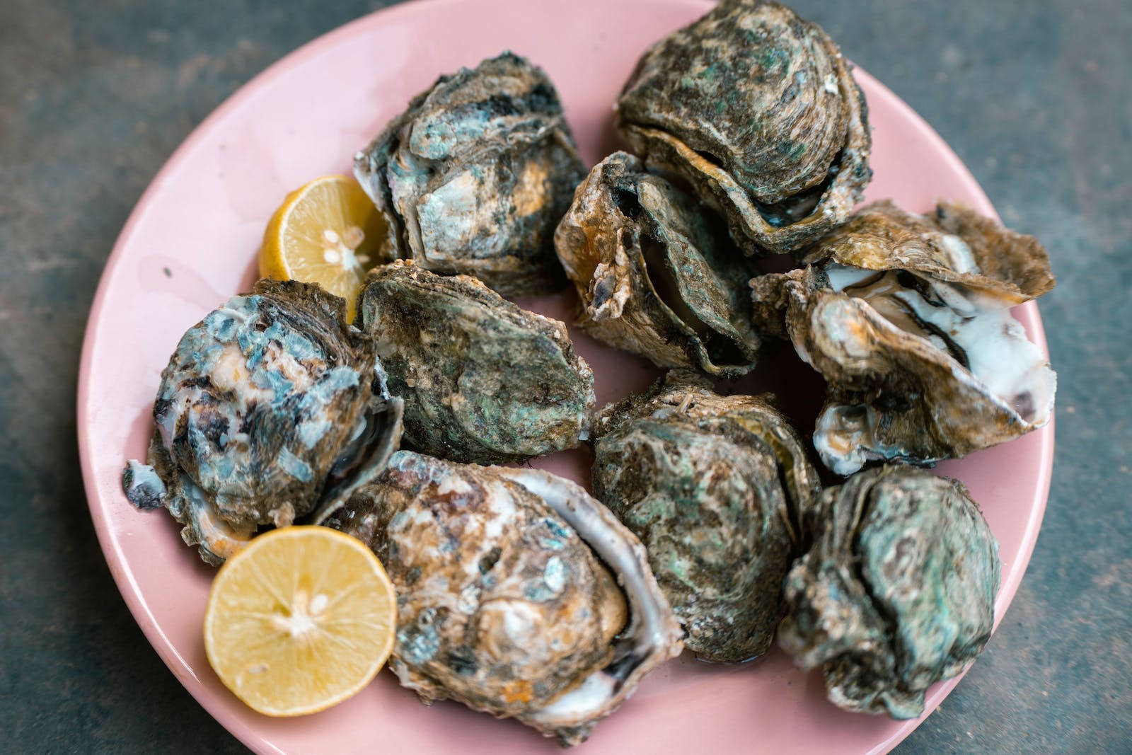 Fresh Oysters Food Desktop Wallpaper