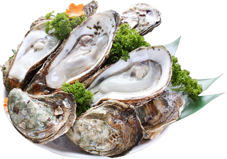 Fresh Oysterson Plate PNG