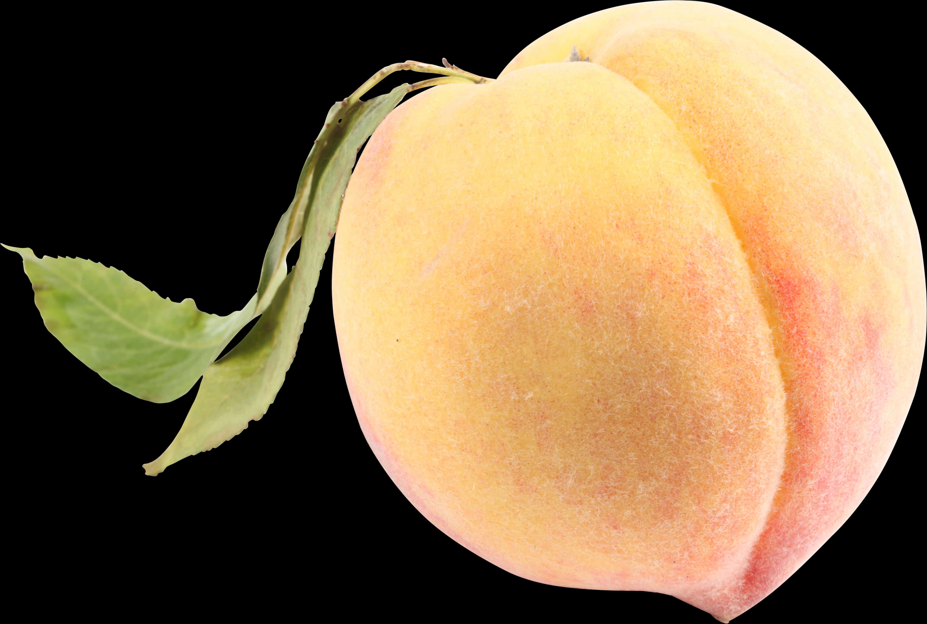 Fresh Peach Black Background PNG