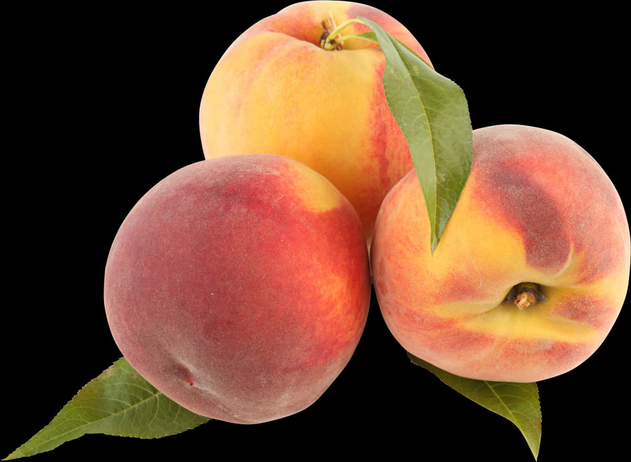 Fresh Peaches Black Background PNG