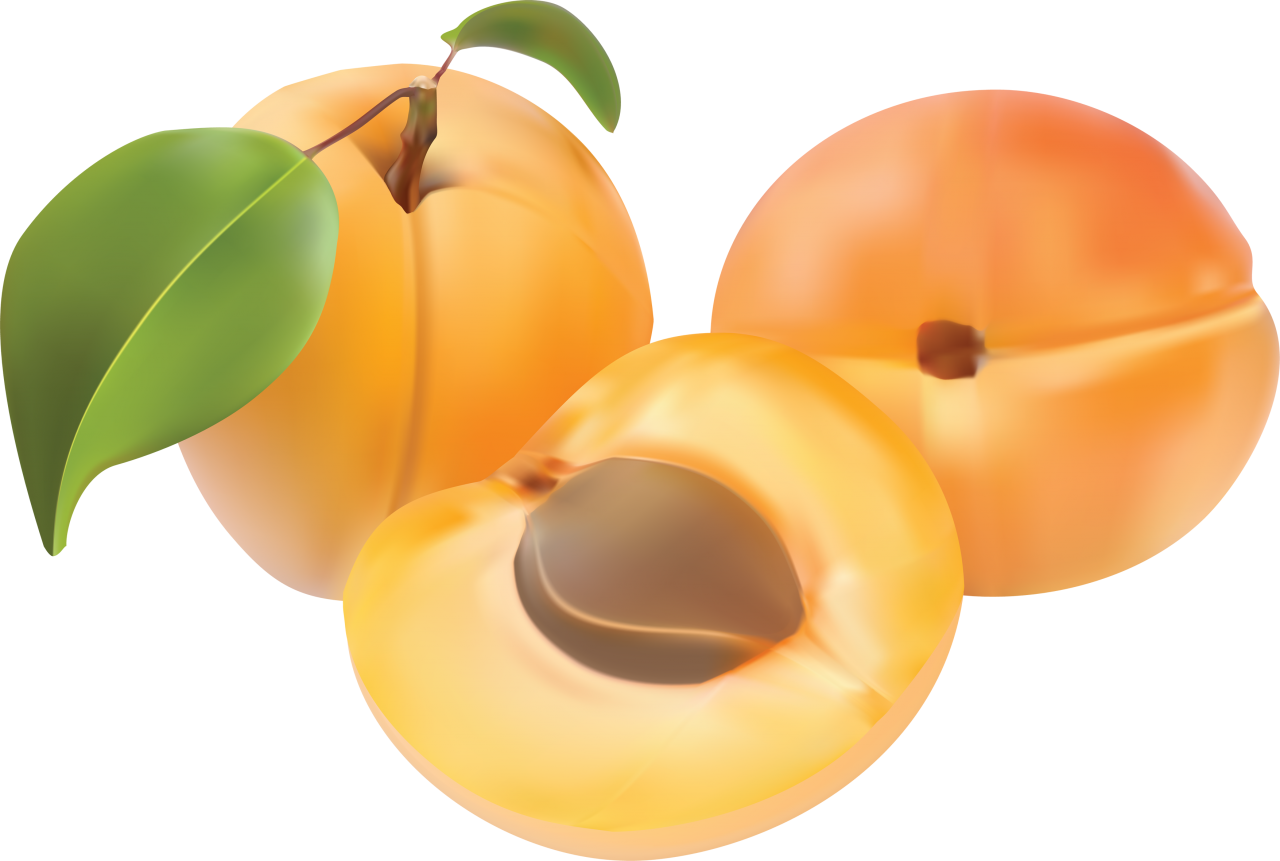 Fresh Peachesand Half Slice Illustration PNG