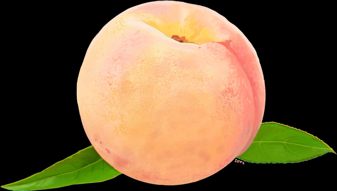 Fresh Peachwith Leaves Black Background PNG