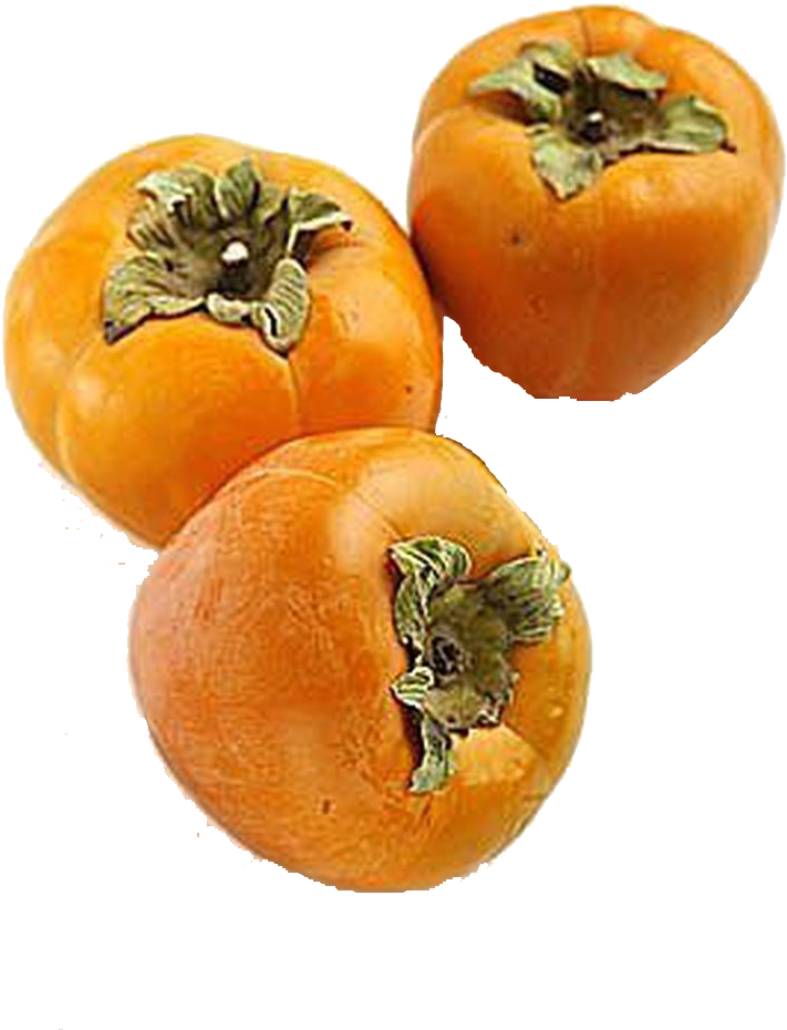 Fresh Persimmons Fruit Isolated PNG
